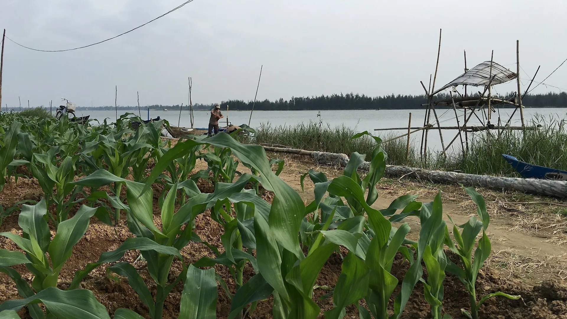 Riverside Hamlet Hoi An Homestay & Villas